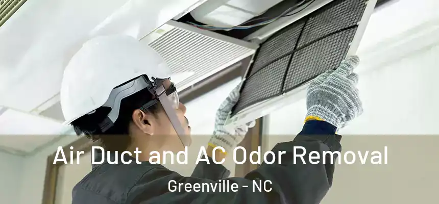 Air Duct and AC Odor Removal Greenville - NC