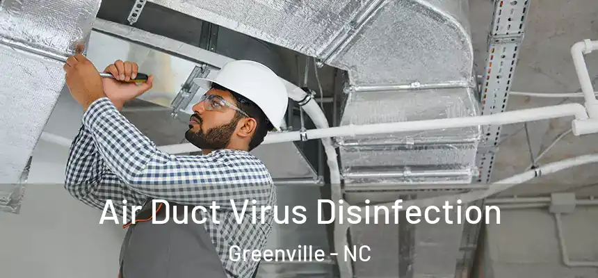  Air Duct Virus Disinfection Greenville - NC