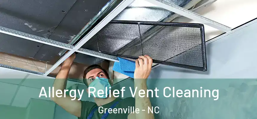  Allergy Relief Vent Cleaning Greenville - NC