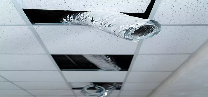 Our Air Duct Pet Hair Removal Services in Greenville, NC