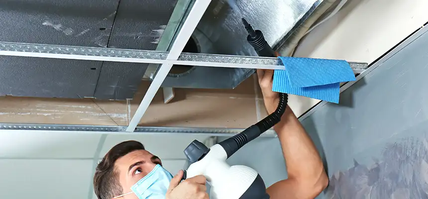 Our Air Duct Rodent Removal Services in Greenville, NC