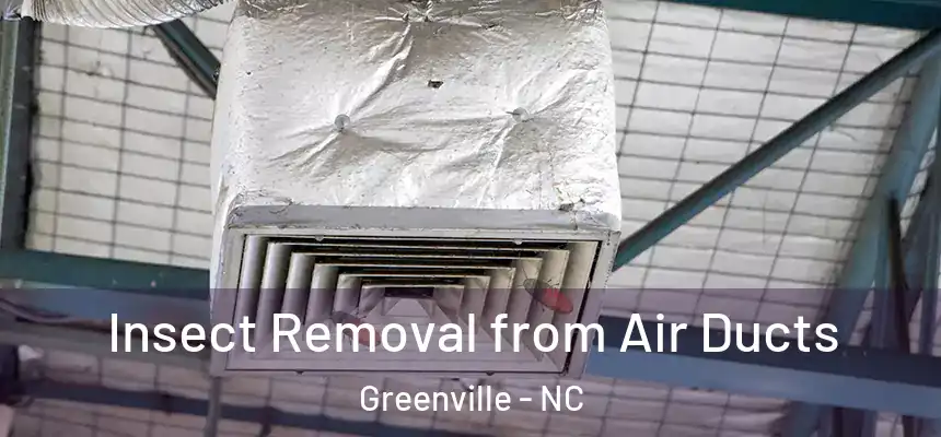  Insect Removal from Air Ducts Greenville - NC