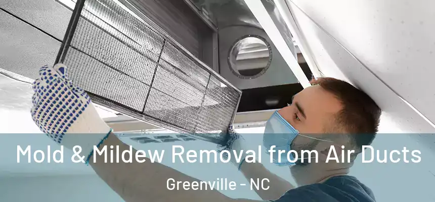  Mold & Mildew Removal from Air Ducts Greenville - NC