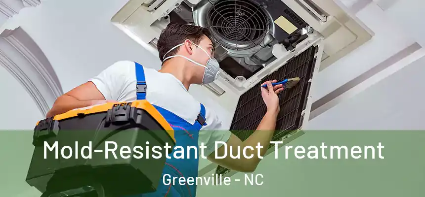  Mold-Resistant Duct Treatment Greenville - NC