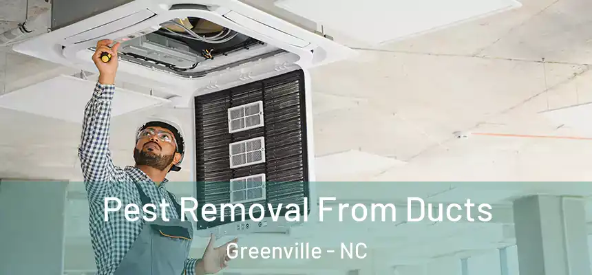 Pest Removal From Ducts Greenville - NC