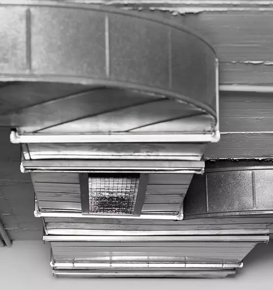 Professional Air Duct Pet Hair Removal in Greenville, NC