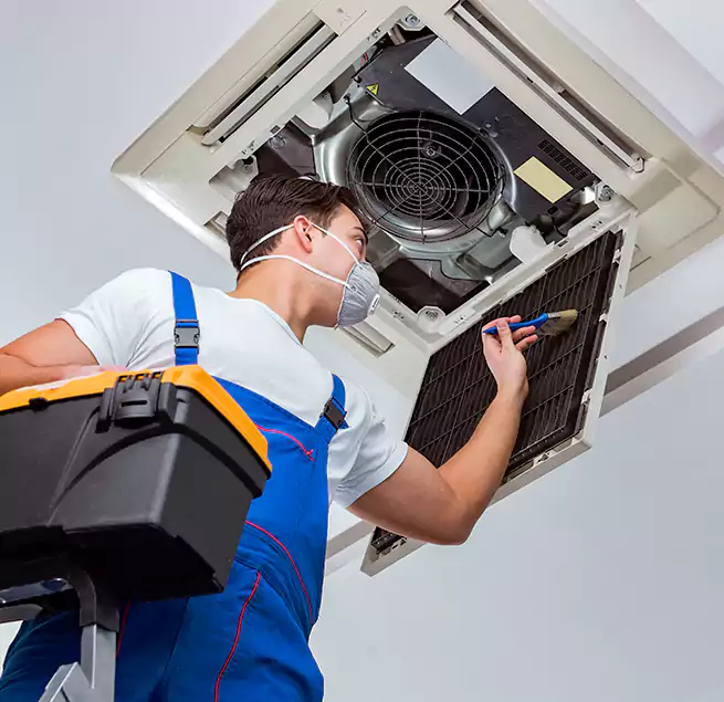 Why Homeowners & Businesses Trust Us in Greenville, NC