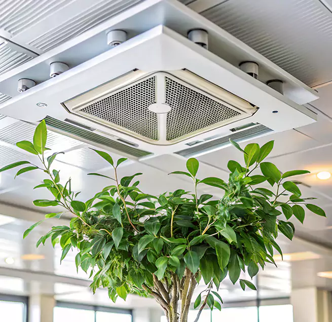 Why Homeowners & Businesses Trust Us in Greenville, NC