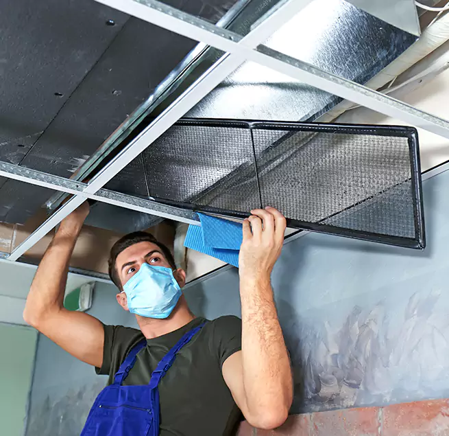 Why Homeowners & Businesses Trust Us in Greenville, NC?